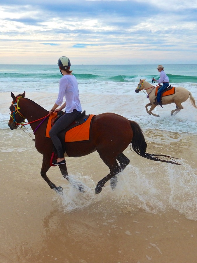 Horse Riding Sunshine Coast